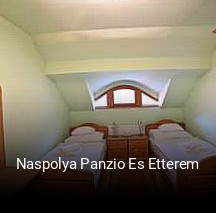 Naspolya Panzio Es Etterem