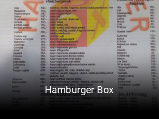 Hamburger Box