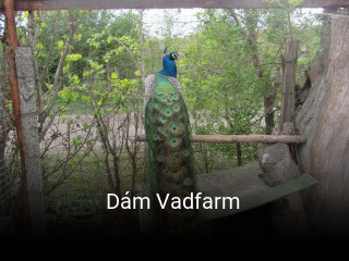 Dám Vadfarm