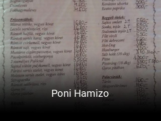 Poni Hamizo