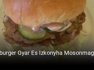 Hamburger Gyar Es Izkonyha Mosonmagyarovar