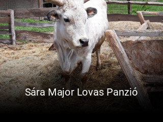 Sára Major Lovas Panzió